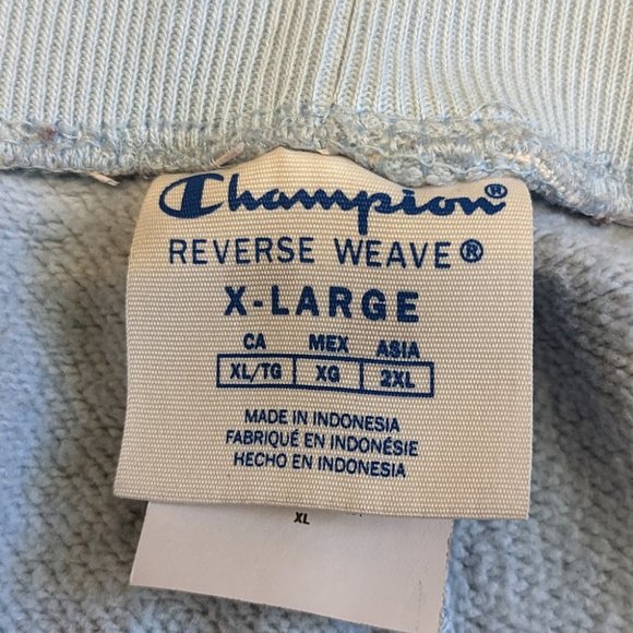 Champion Reverse Weave Paint Splatter Shorts - Picture 3 of 5